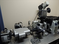 Three Andor iXon3 EMCCD cameras surround the Andor Revolution XD spinning disk confocal microscope in