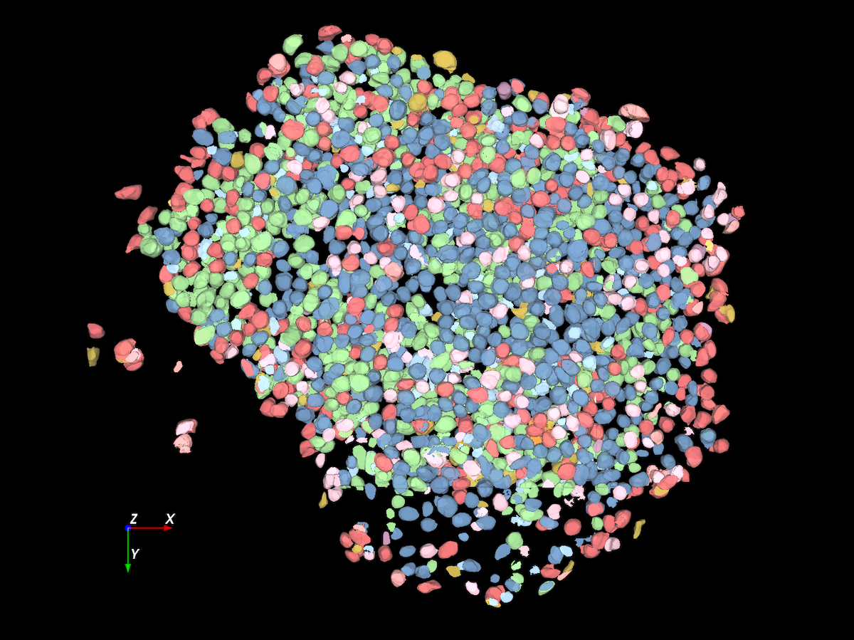 latest-ai-software-simplifies-image-analysis-and-speeds