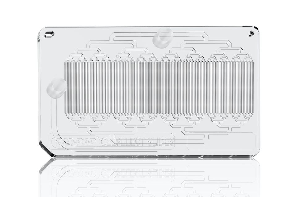 biorad-launches-celselect-slides-20-advance-rare-cell