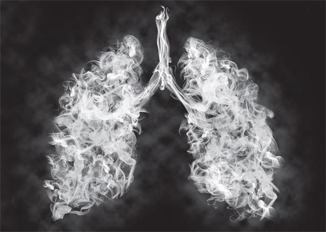 rapid-analysis-tobacco-smoke-biomarkers