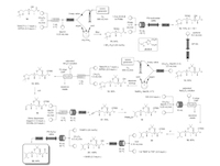 spirocyclic polyketide synthesis