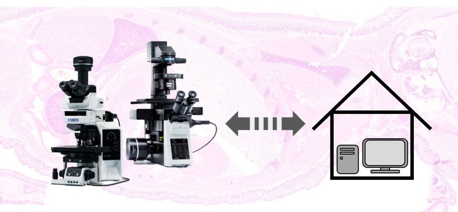 remote-microscopy-guide-6-tips-set-up-your-lab-success