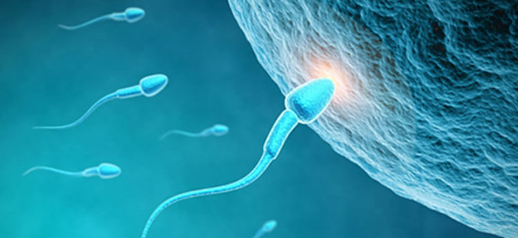 wave-new-bio-research-focuses-male-fertility