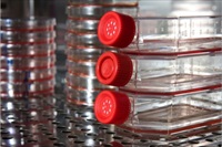 Cell Culture Performance Prediction