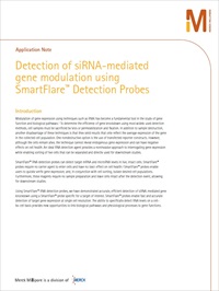 Detection of siRNA-mediated