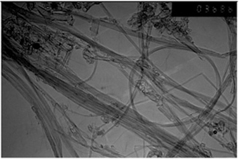 Creative-Diagnostics-Releases-Double-Walled-Carbon-Nanotubes-for-Bio-research