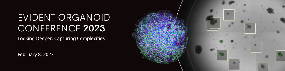 2023-evident-organoid-conference-share-the-latest