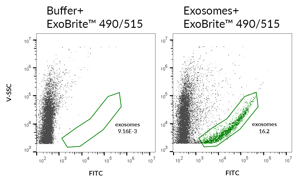 biotium-launches-optimized-solution-exosome-detection