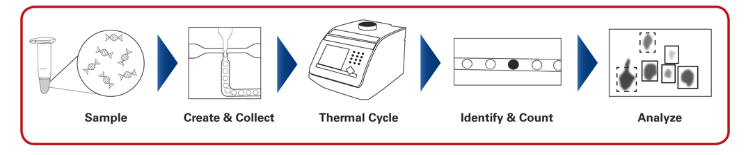 IDT decoded