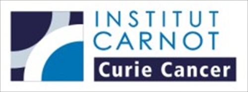 Institut Carnot Curie Cancer