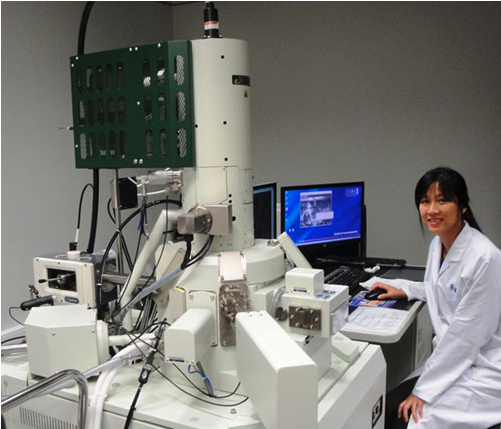 JEOL SEM with Quorum PP3000T cryo sample preparation system