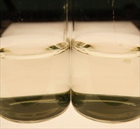 Lab M’s new Alkaline Saline Peptone Water (ISO)