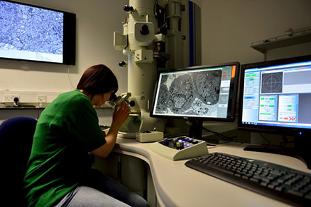 Microscopy & Histology Core Facility