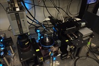 Optical set-up of the specially-designed four-lens selective plane illumination microscope showing the dual Andor Zyla sCMOS cameras