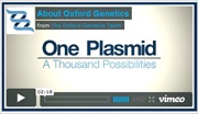 Oxford Genetics