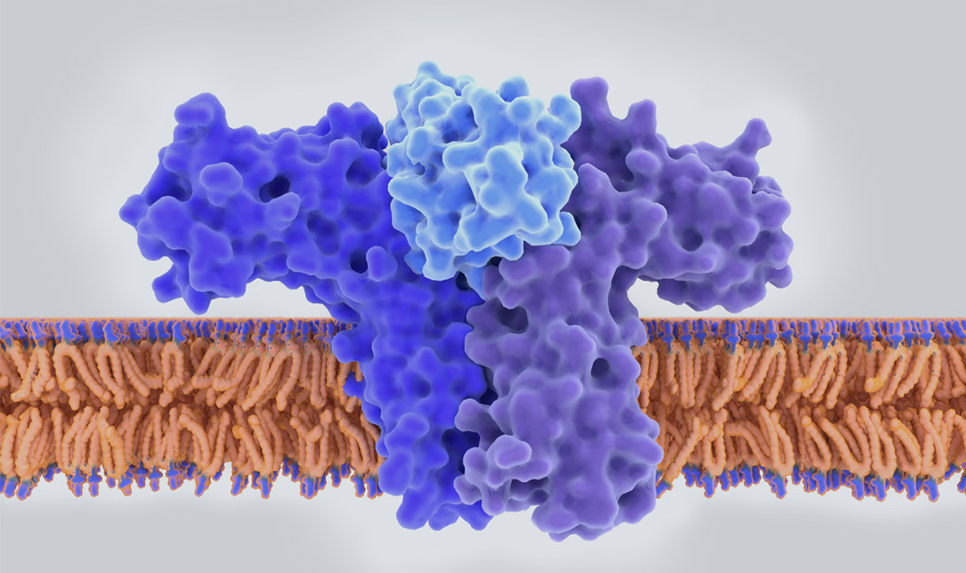 synthetic-peptide-purification-using-preparative-lcms