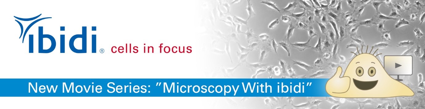 phase-contrast-microscopy-finally-simple-explanation