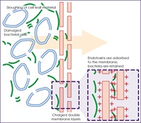 Porvair Filtration Group has introduced Hydrofil HTZ