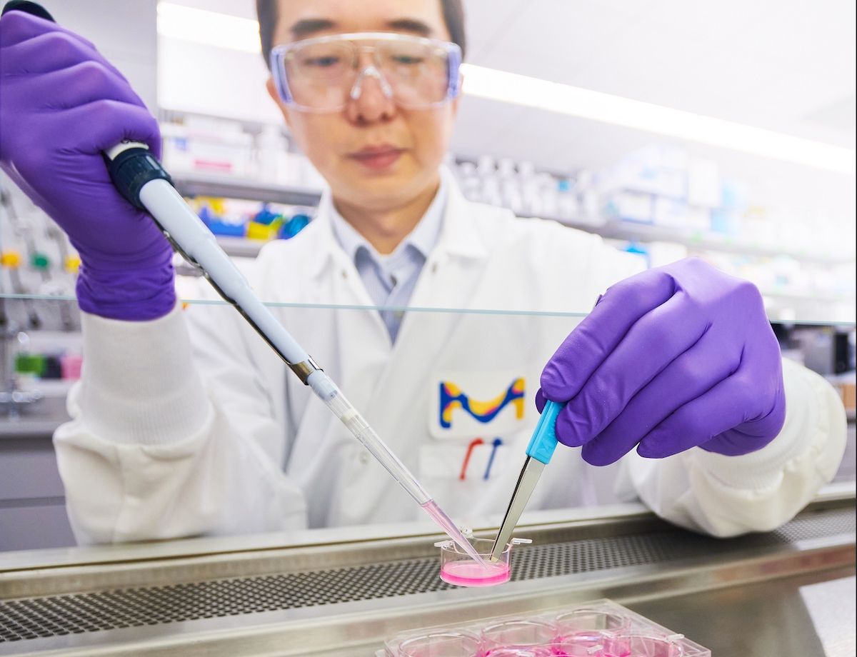 merck-partners-promega-advance-3d-cell-drug-discovery