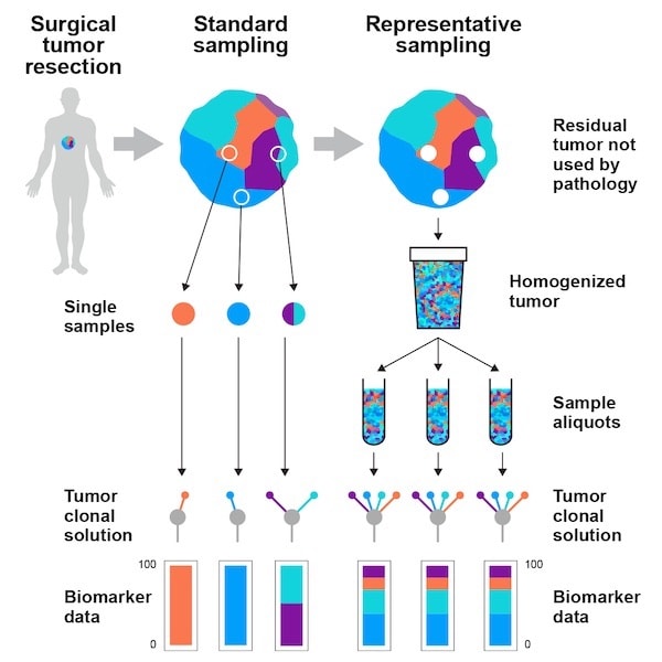 new-tumour-sampling-method-significantly-improves