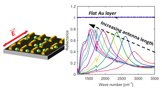 Schematic from the abstract of the Braun & Maier paper published in ACS Sensors