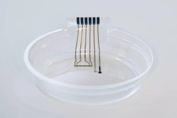 new-generation-intelligent-petri-dishes