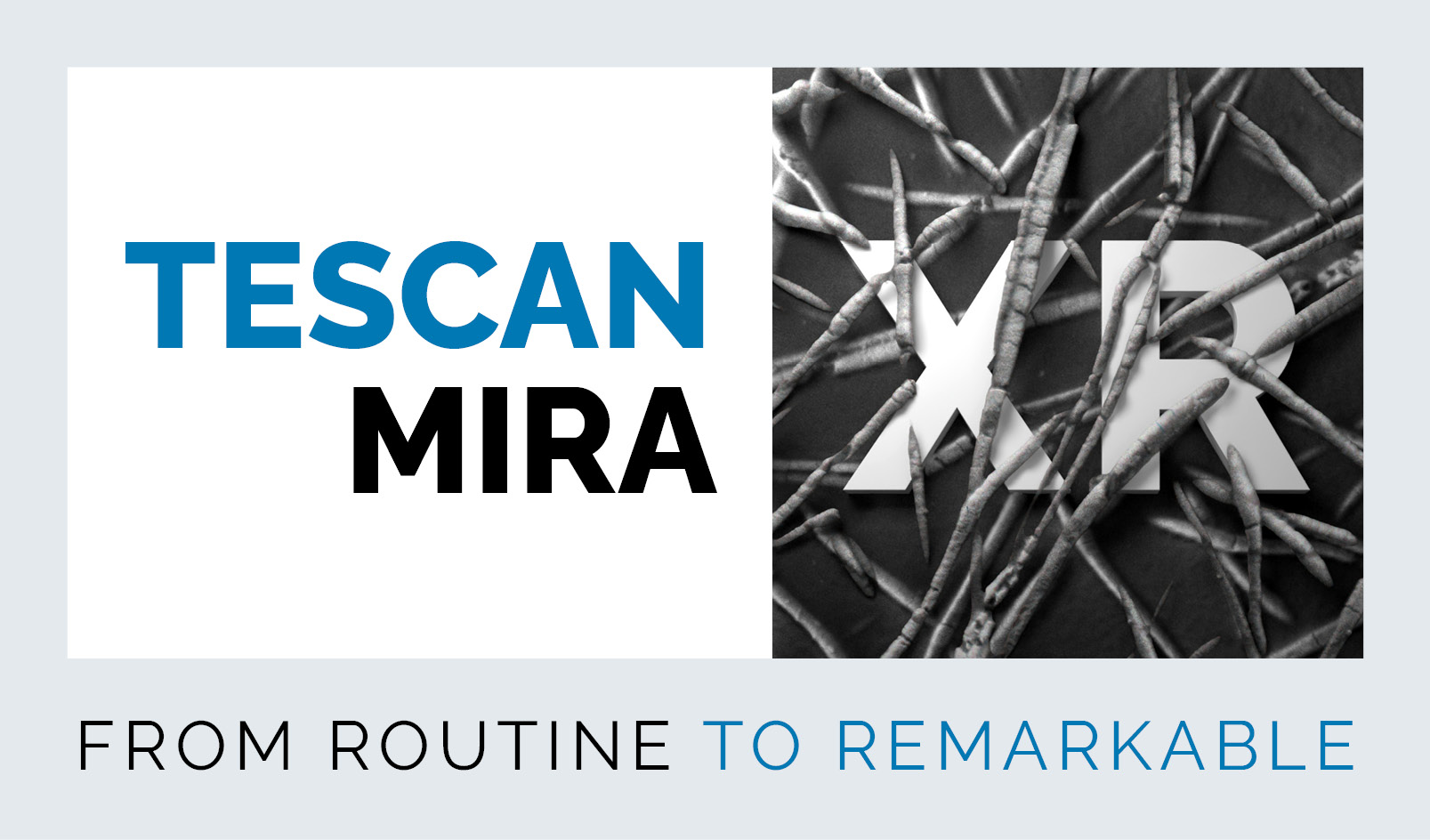 mira-xr-new-ultrahighresolution-semeds-solution-tescan