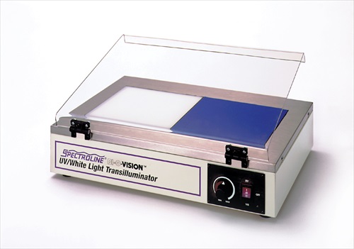 TVD-1000R Transilluminator