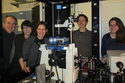 The Molecular NanoScience Group at ISMO
