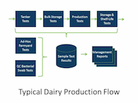 Typical dairy production flow