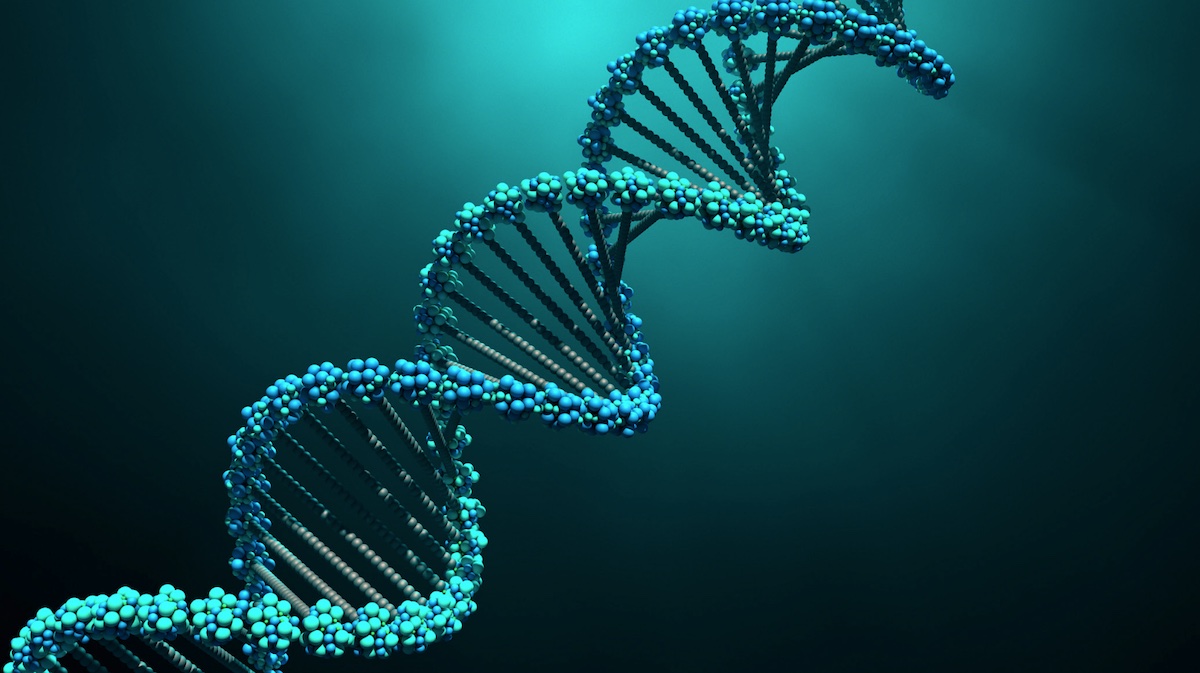 reliable-oligonucleotide-aex-analysis-under-2-minutes