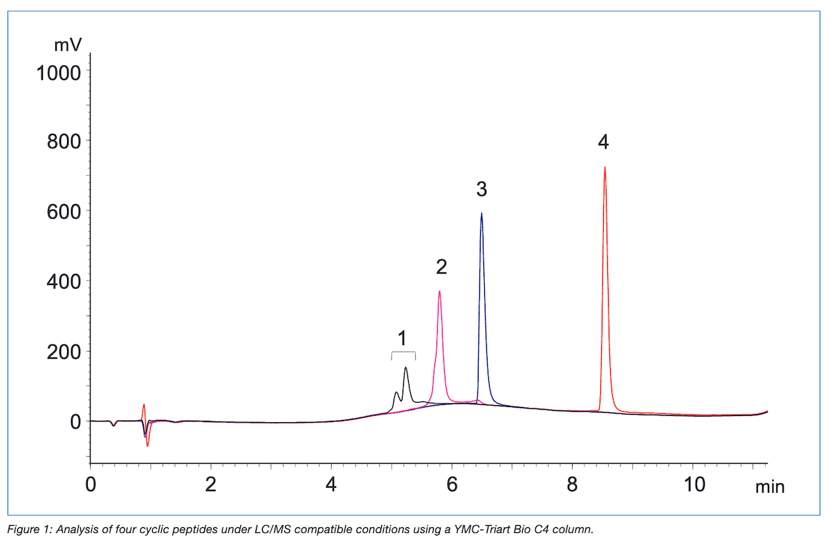 cIEF Peptide Marker Kit - Chemistries