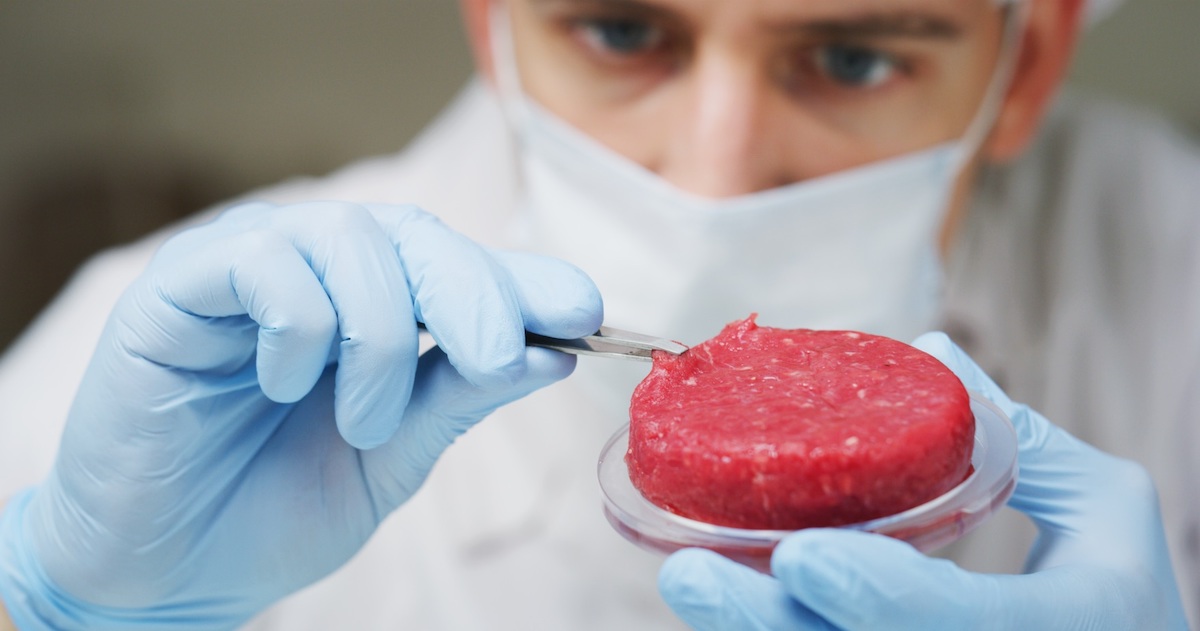high-quality-products-cultured-meat-research