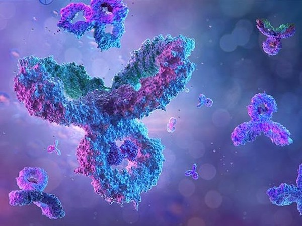 antibodies-stem-cell-quality-validation