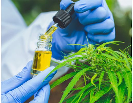 new-whitepaper-your-guide-cannabis-testing