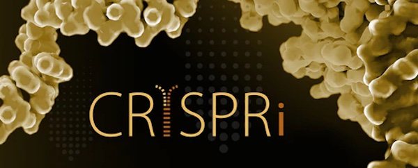 crispri-innovations-provide-expanded-experimental