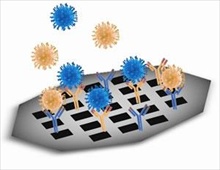 Schematic to illustrate functionality of a Dune BioGrid™ capturing specific viruses 