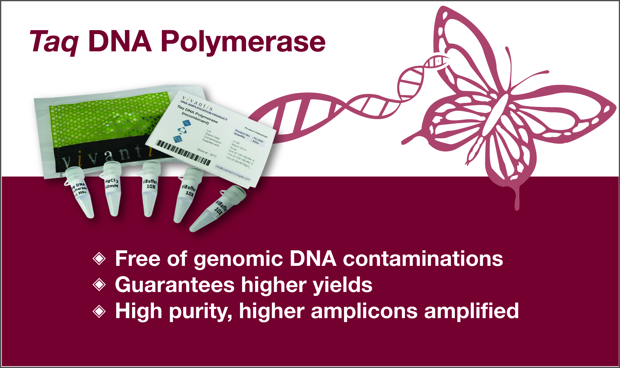  Taq DNA Polymerase