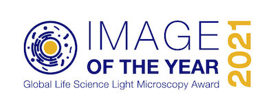olympus-launches-third-global-image-the-year-contest