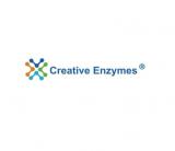 Creative Enzymes