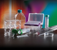 High Quality Tissue Culture Plasticware