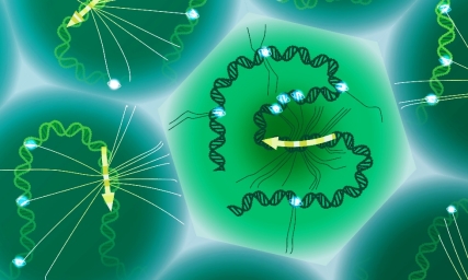 new-tool-offers-singlecell-study-specific-genetic