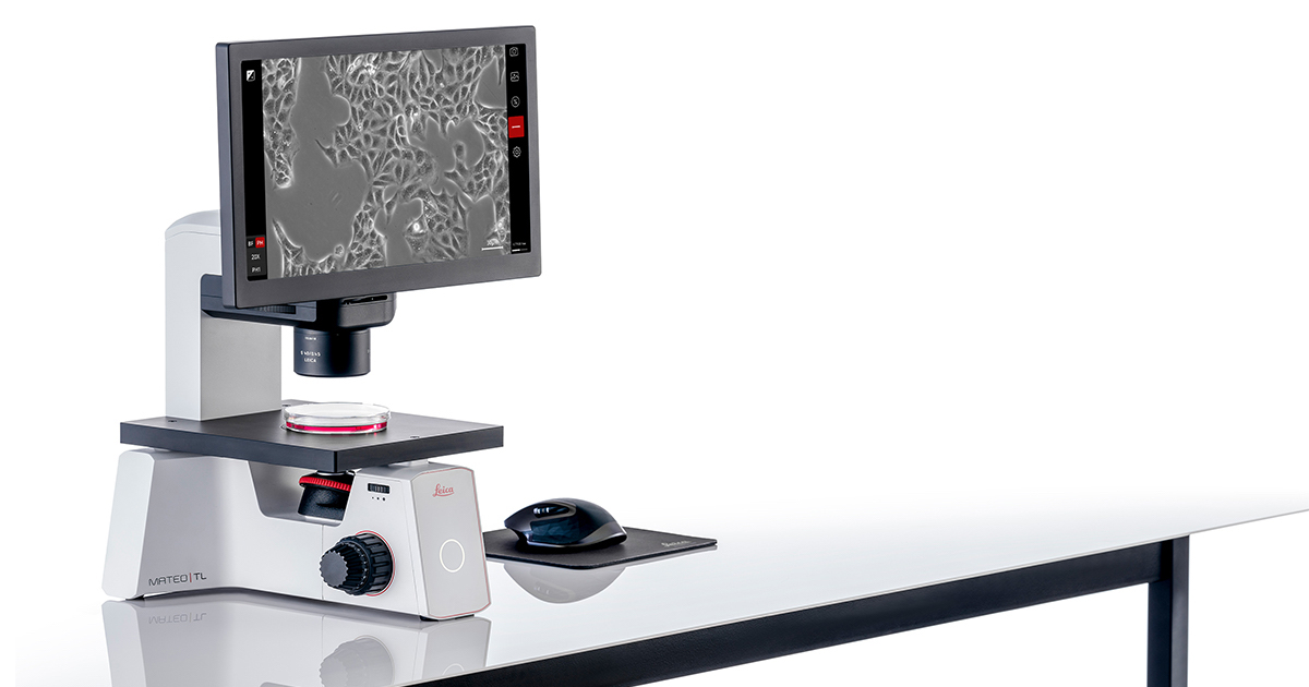 make-checking-cells-simple-mateo-tl-digital-microscope