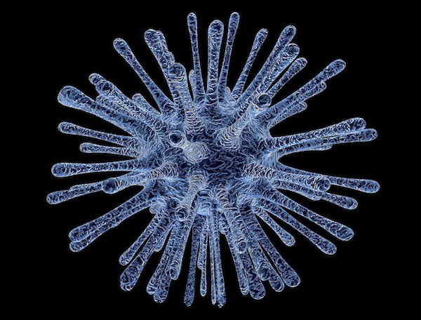 pixabay-virus-infected-cells